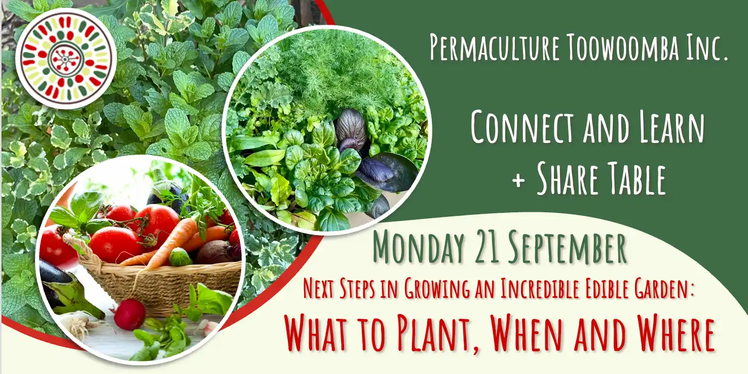 Next Steps in Growing an Incredible Edible Garden